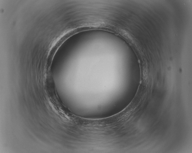 X0000056030532200509021824