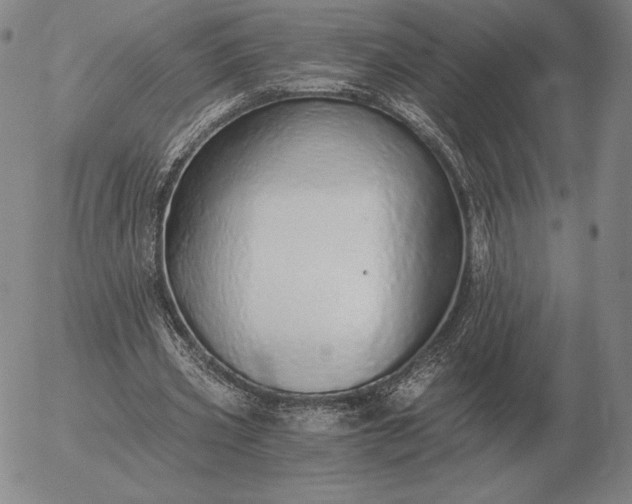 X0000056030533200509021824