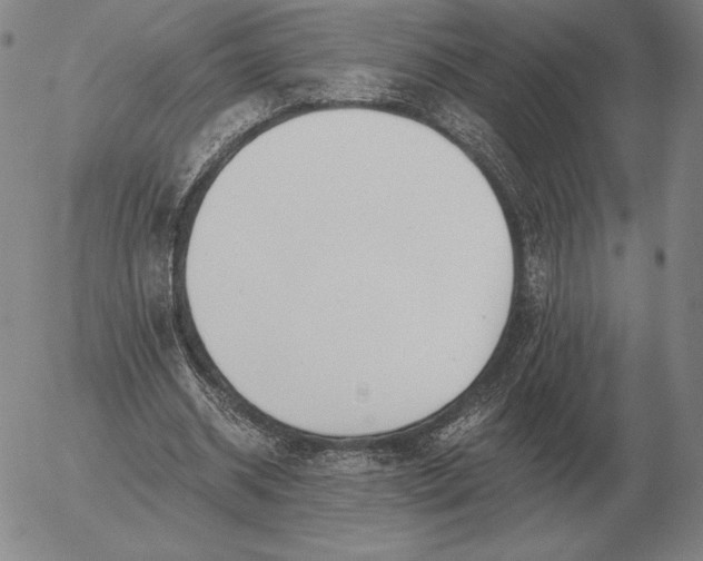 X0000056030534200509021824