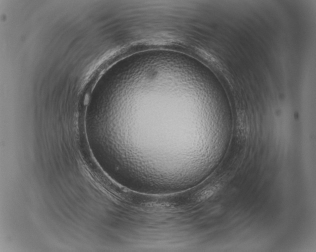 X0000056030535200509021824