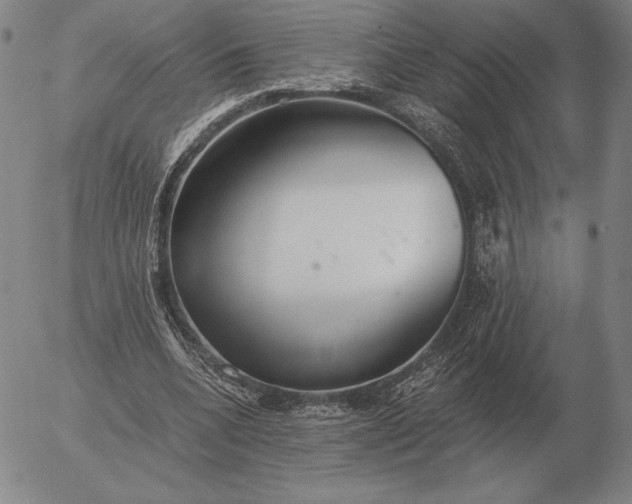 X0000056030536200509021824