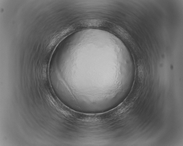 X0000056030537200509021824