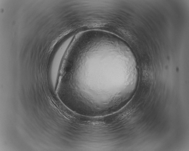 X0000056030539200509021824