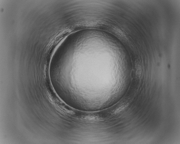 X0000056030542200509021824