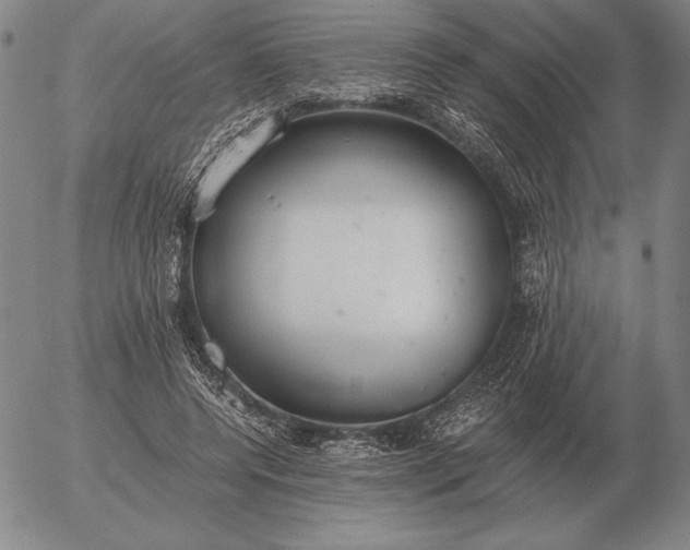 X0000056030544200509021824