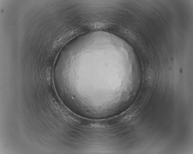 X0000056030545200509021824