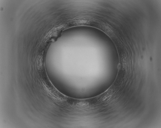 X0000056030546200509021824