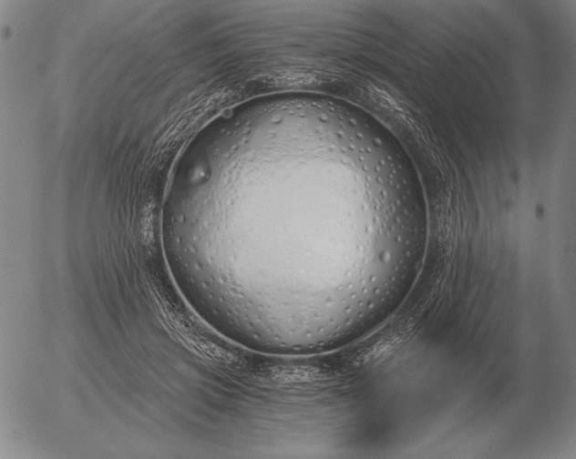 X0000056030549200509021824