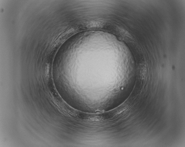 X0000056030550200509021824