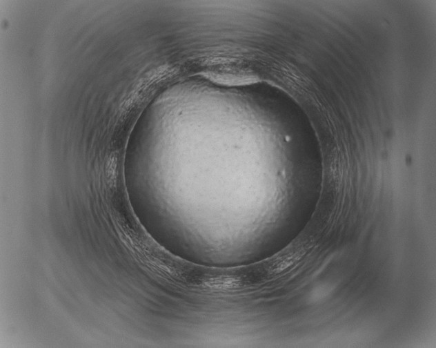 X0000056030551200509021824