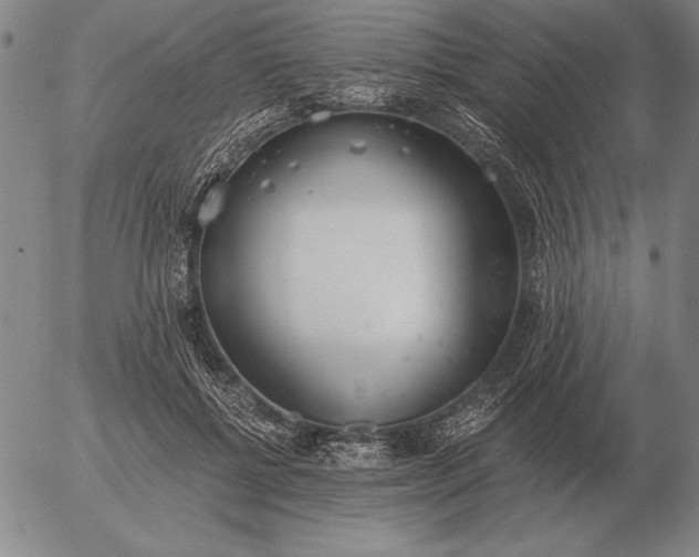 X0000056030552200509021824