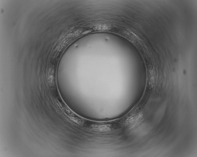 X0000056030553200509021824