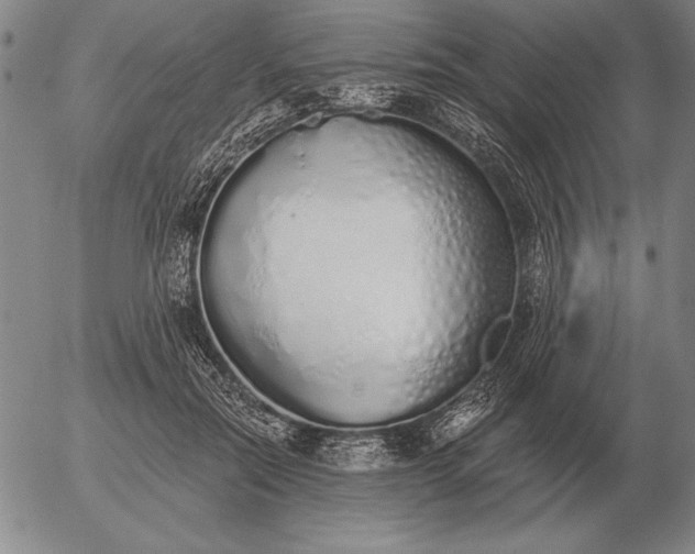 X0000056030554200509021824