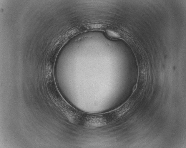 X0000056030555200509021824