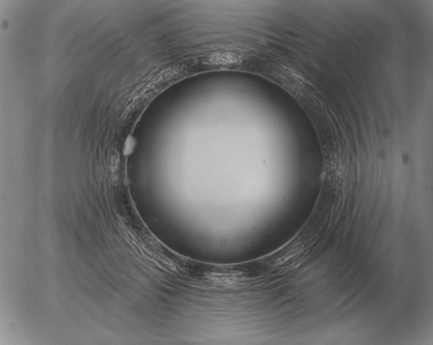 X0000056030556200509021824