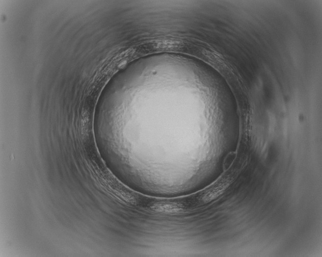 X0000056030557200509021824