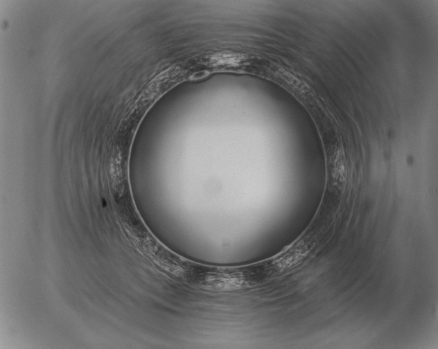 X0000056030559200509021824