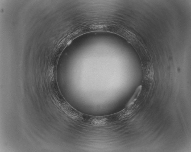 X0000056030560200509021825