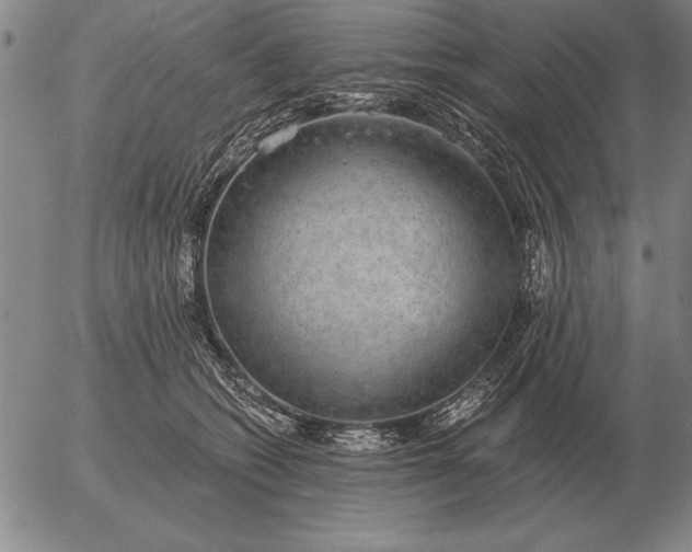 X0000056030562200509021825