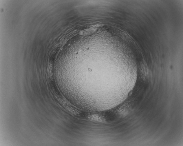 X0000056030565200509021825