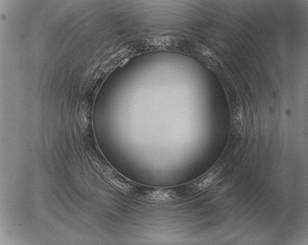 X0000056030566200509021825