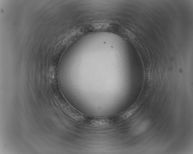 X0000056030567200509021825