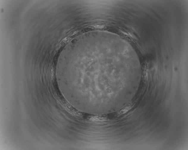 X0000056030568200509021825