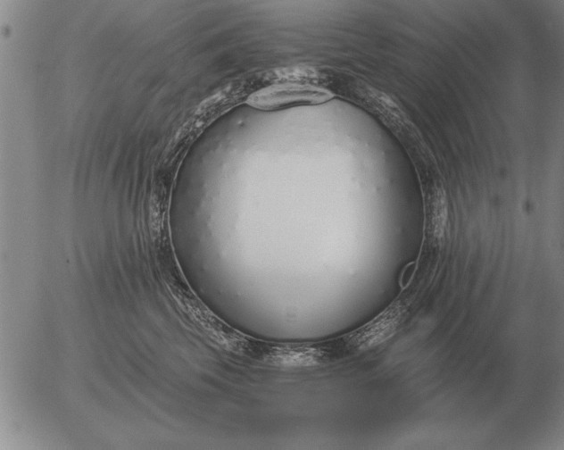 X0000056030569200509021825