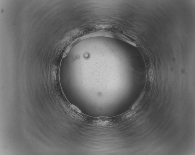 X0000056030570200509021825