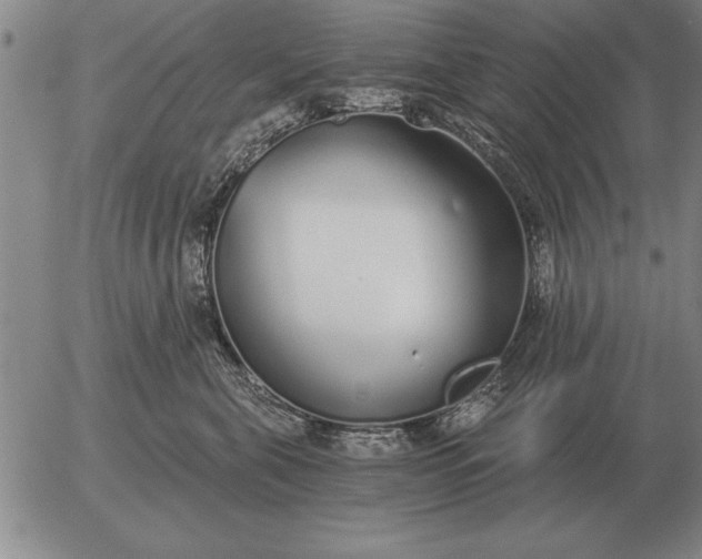 X0000056030571200509021825