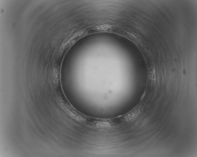 X0000056030572200509021825