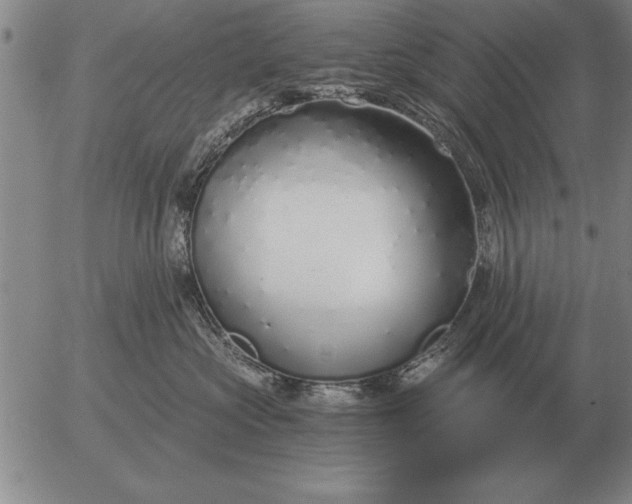 X0000056030573200509021825