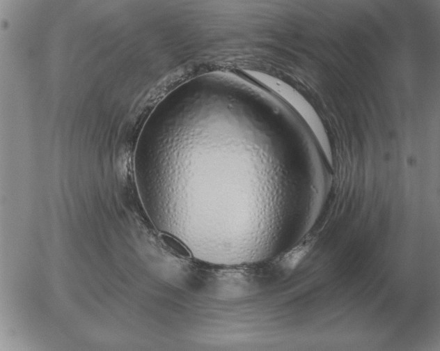 X0000056030574200509021825