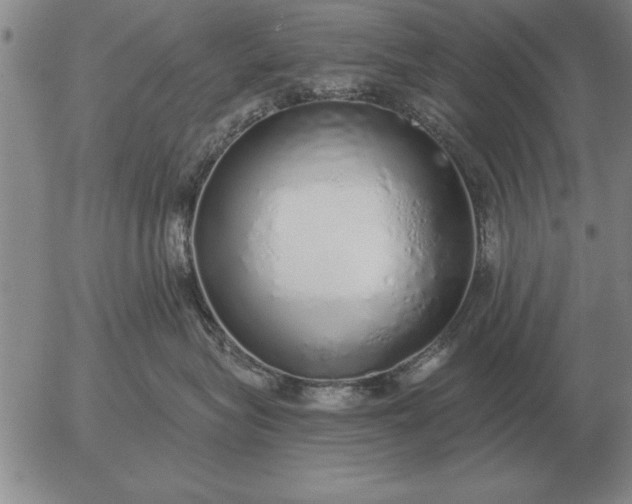 X0000056030575200509021825