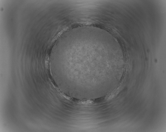 X0000056030576200509021825