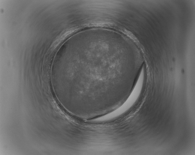 X0000056030577200509021824