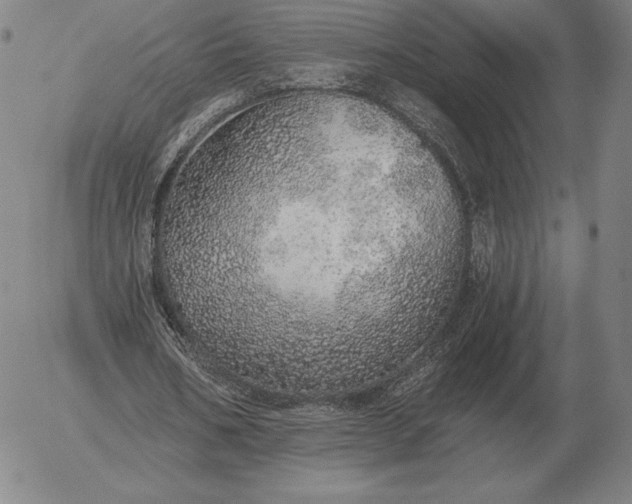 X0000056030578200509021824