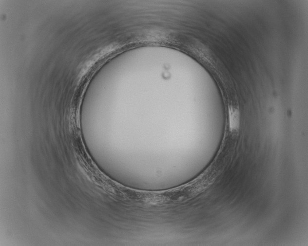 X0000056030579200509021824