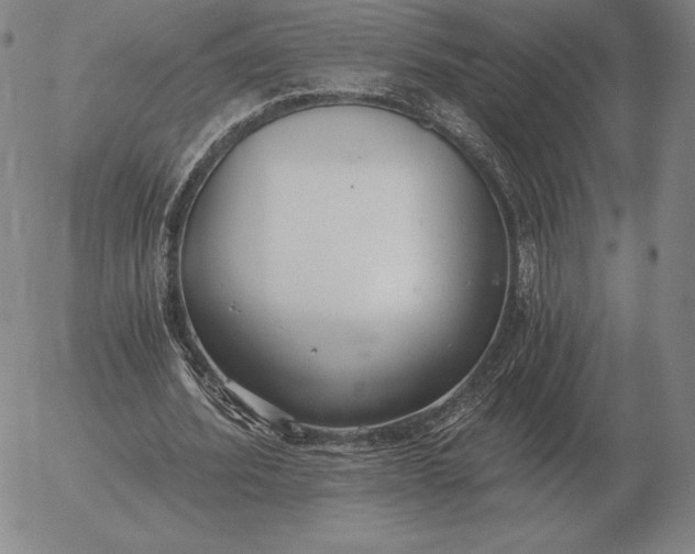 X0000056030580200509021824