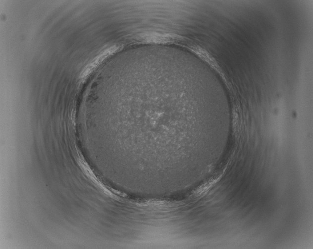 X0000056030581200509021824