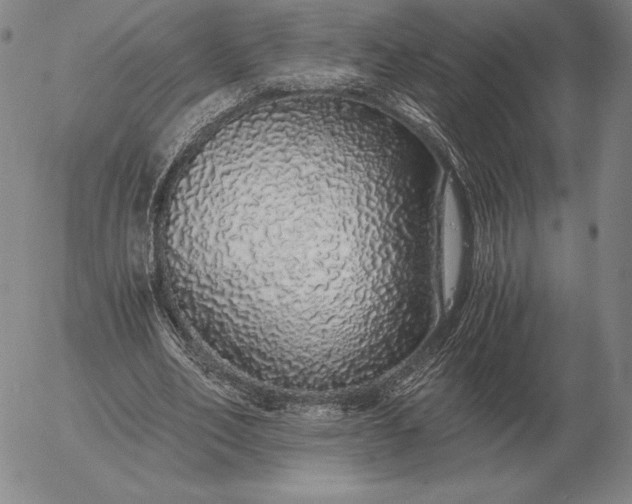 X0000056030582200509021824