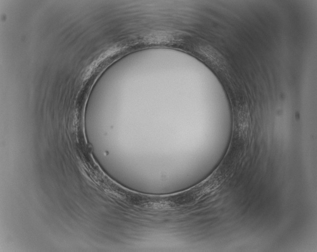 X0000056030583200509021824