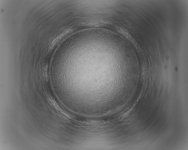 X0000056030585200509021824