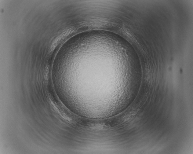 X0000056030586200509021824