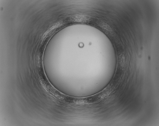 X0000056030587200509021824