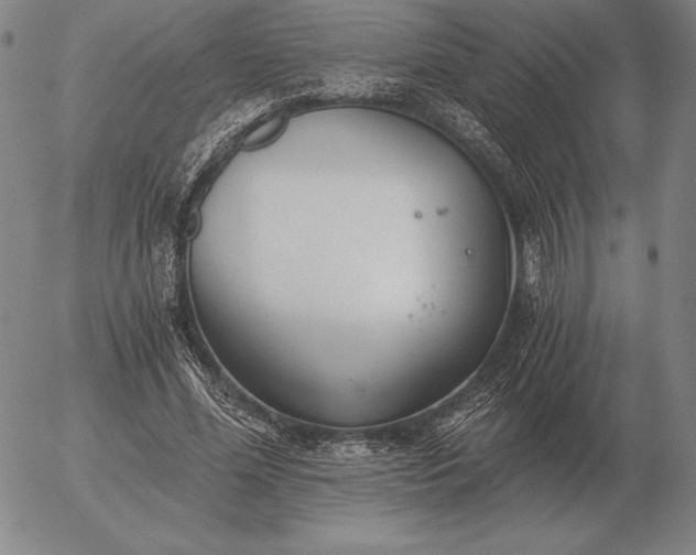 X0000056030588200509021824