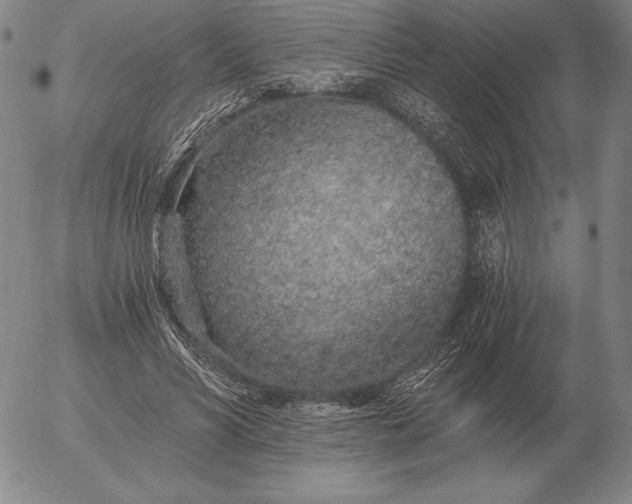 X0000056030590200509021824