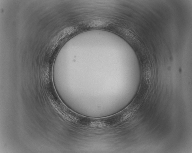 X0000056030591200509021824