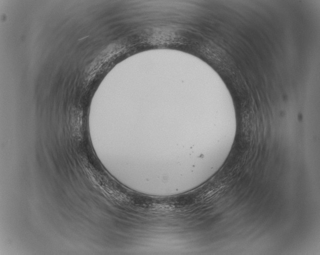 X0000056030592200509021824