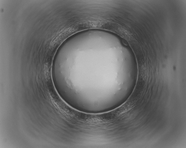 X0000056030594200509021824